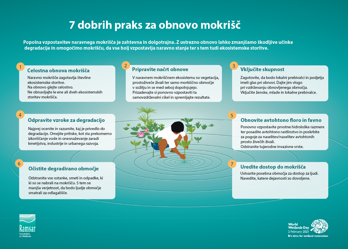 7 dobrih praks
